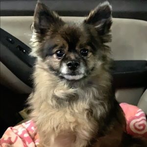 Meet your Posher, Mikayle